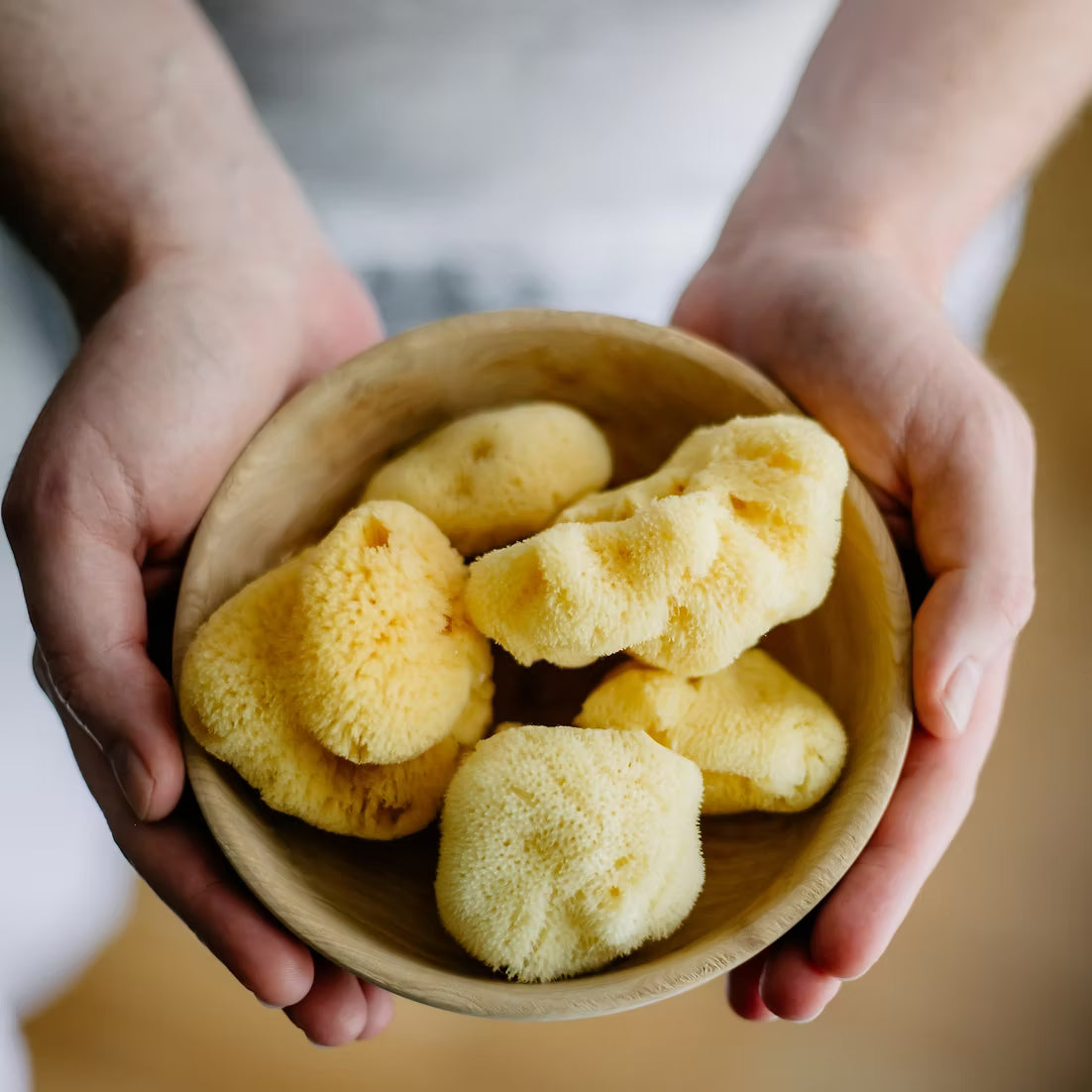 Ethical Sea Sponge
