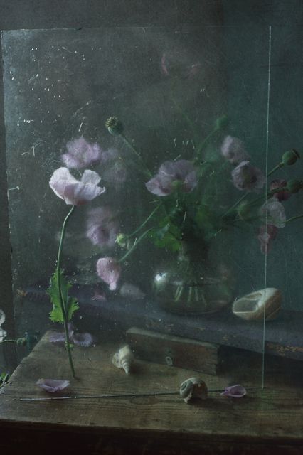 The Lost Rituals of Floral Preservation