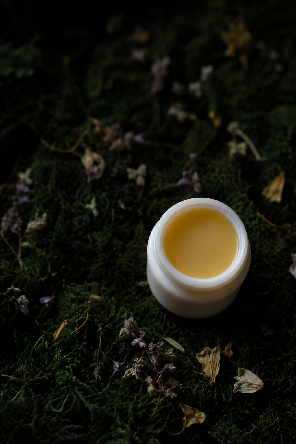 Archival Lip Crème Gift