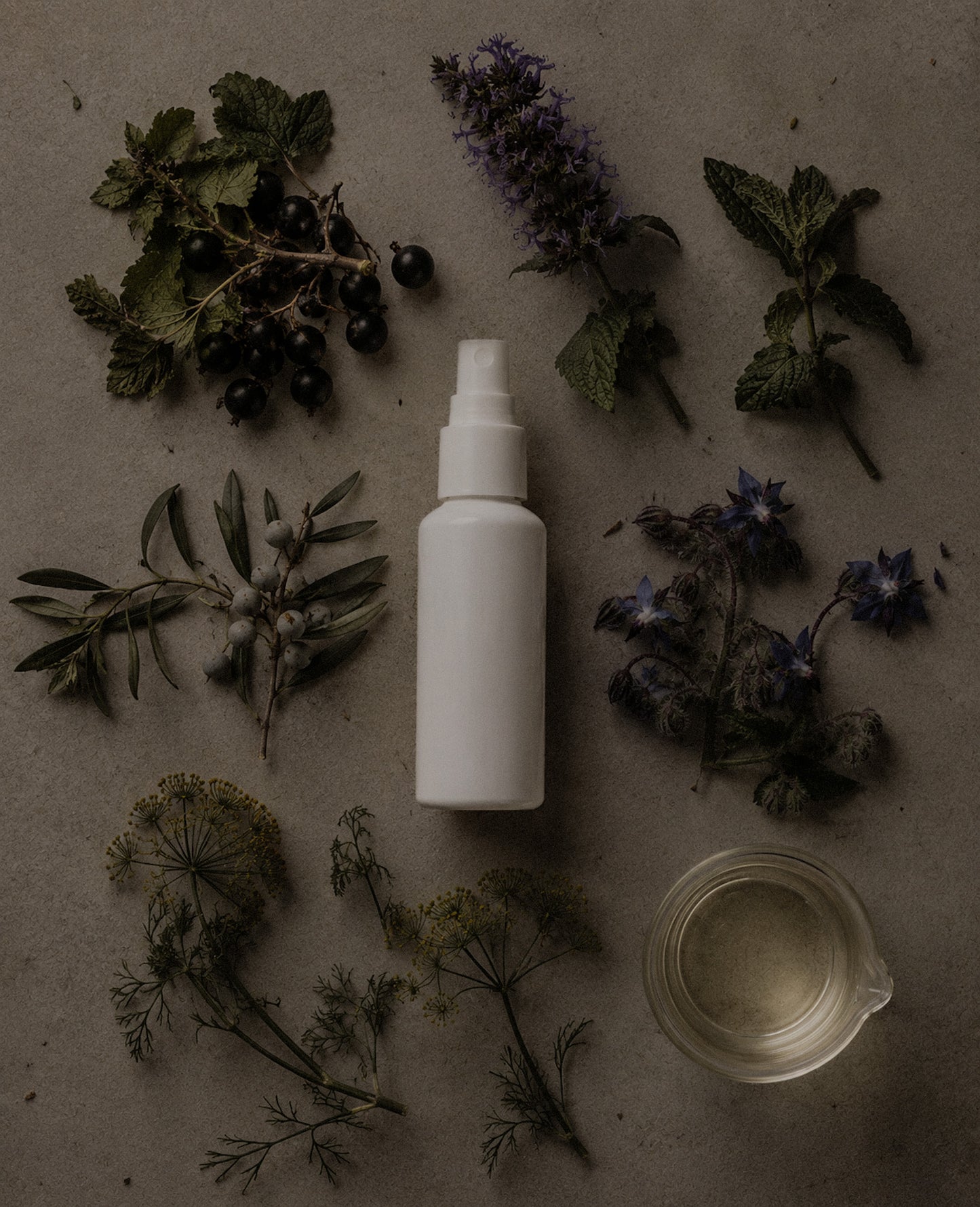 HERBARIUM No. XVII  Fleurs & Feuillages Fine Facial Essence