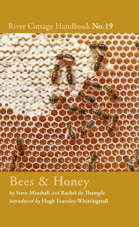 Bees & Honey: River Cottage Handbook No. 19