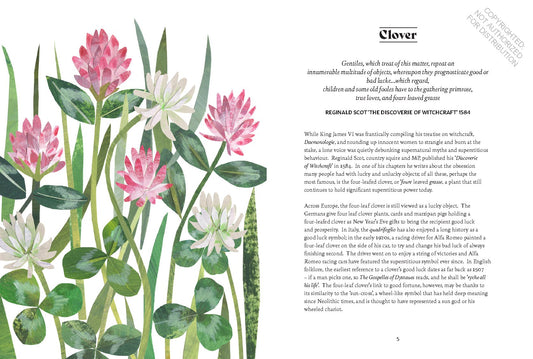 Floriography: The Myths, Magic and Language of Flowers