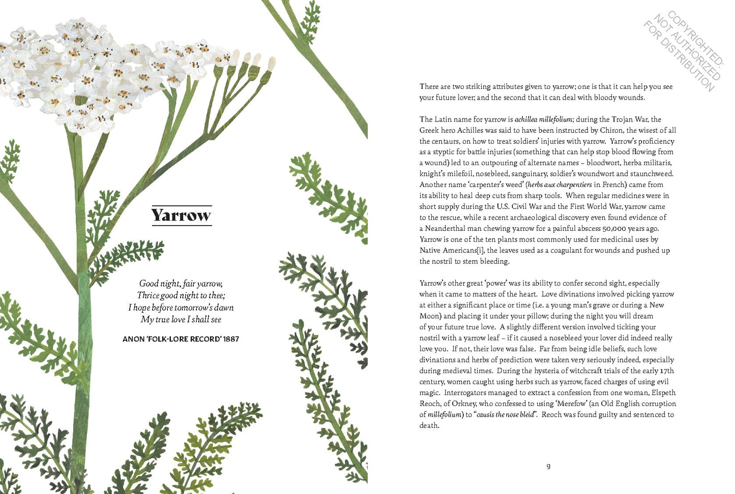 Floriography: The Myths, Magic and Language of Flowers