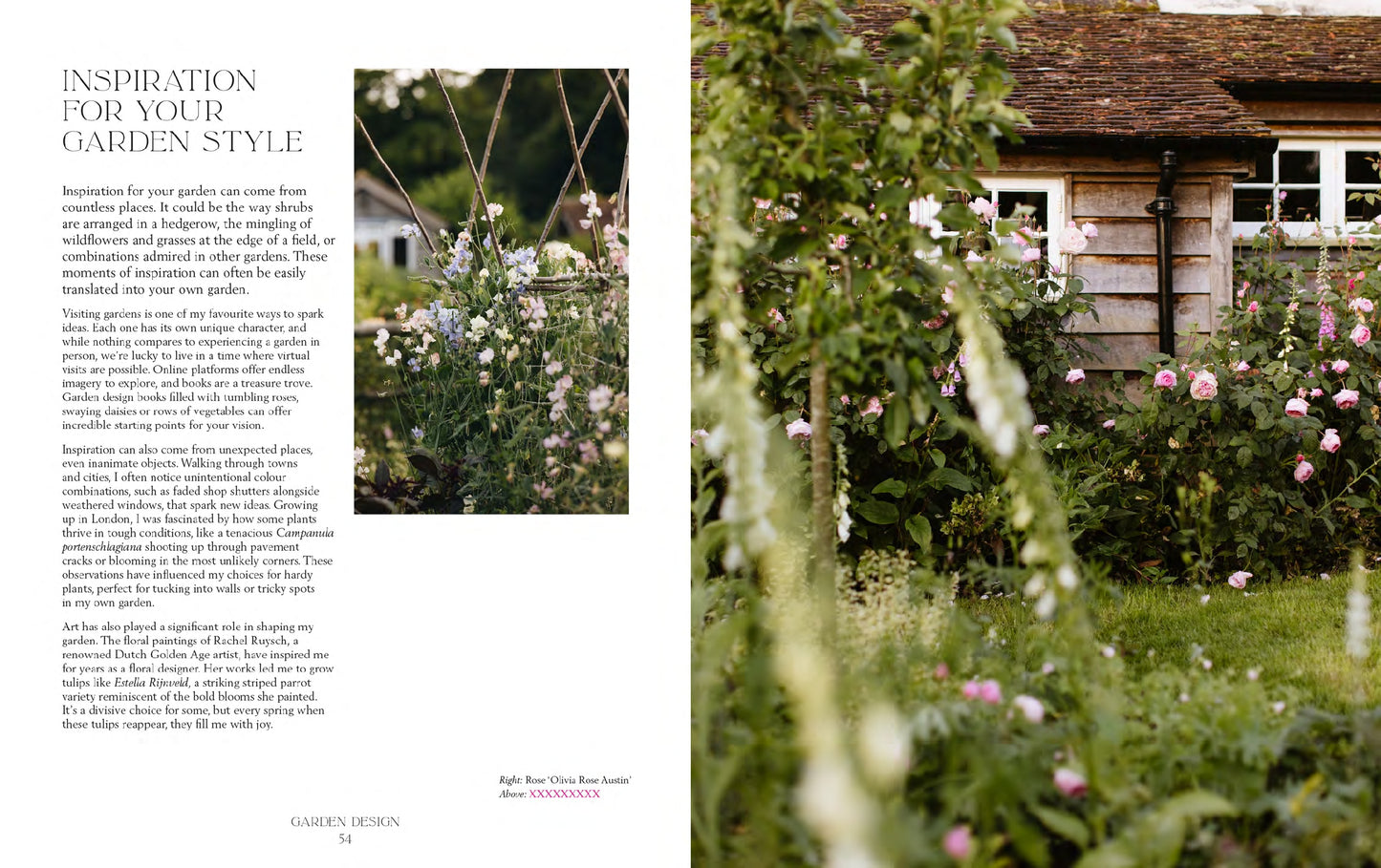 How Does Your Garden Grow? The elements of planning & growing a garden