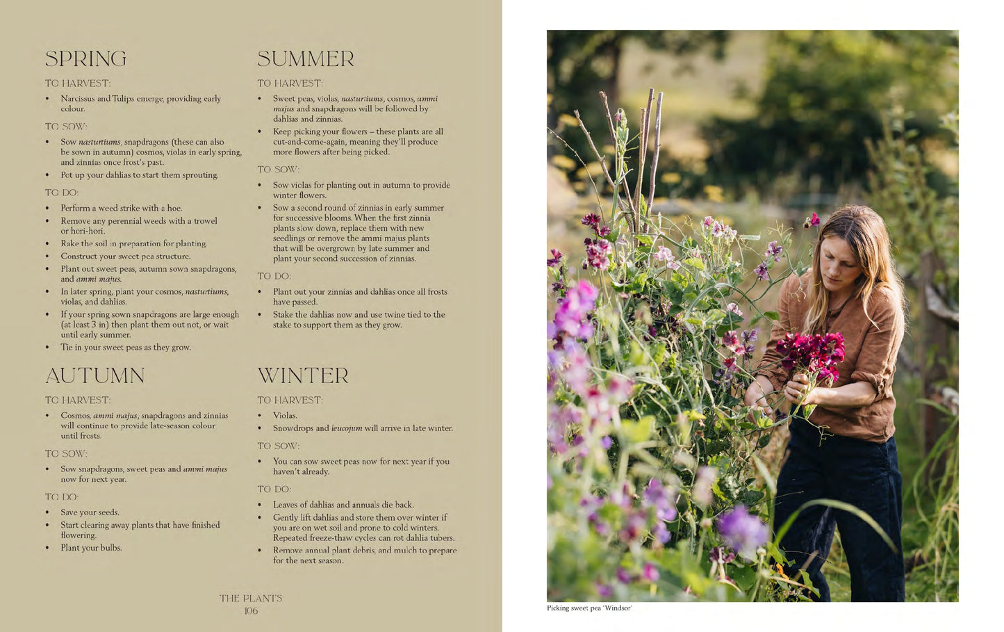 How Does Your Garden Grow? The elements of planning & growing a garden