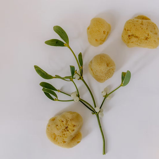 Ethical Sea Sponge